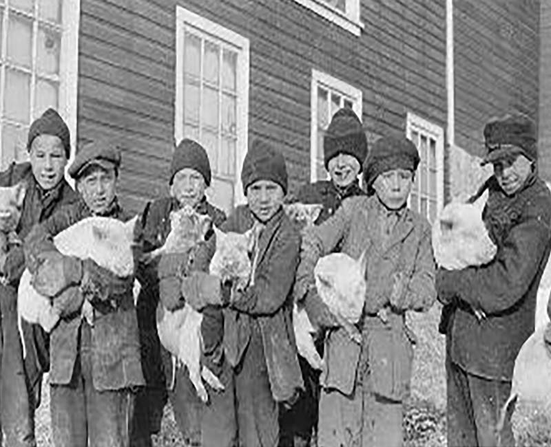 group of students holding pigs in front of Brandon school building