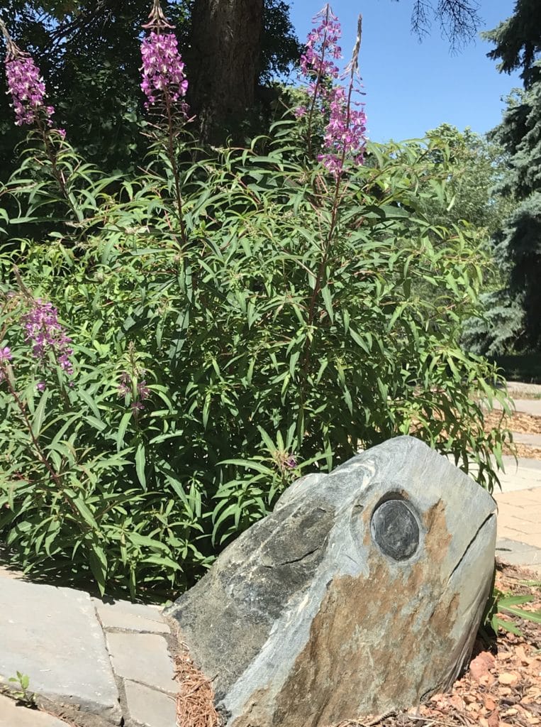 Une sculpture de tortue se trouve au premier plan et des fleurs à l'arrière-plan.