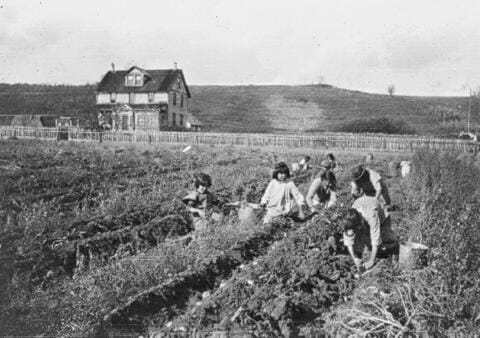 children working